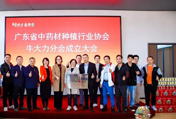 廣東省中藥材種植行業(yè)協(xié)會牛大力分會成立